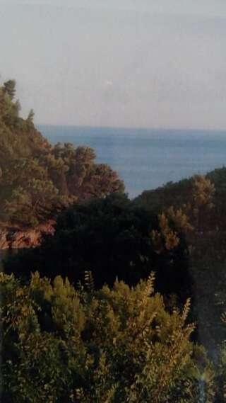 Апартаменты Apartments Tanja Петровац Апартаменты с балконом-11